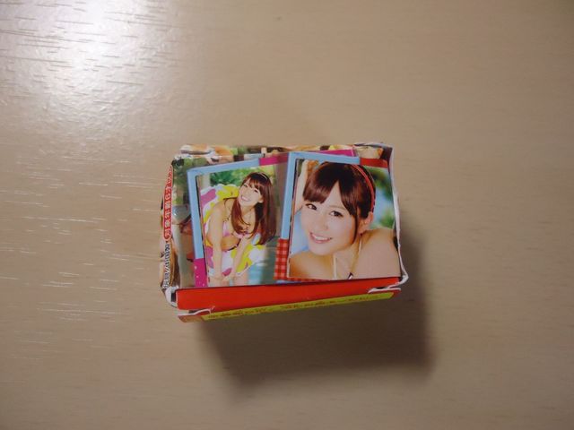 ぷっちょワールド AKB48写真集