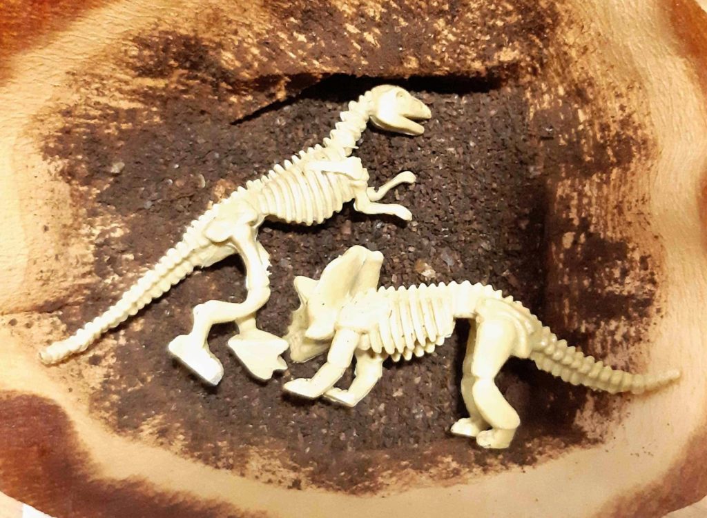 恐竜 化石玩具（ダイソー）