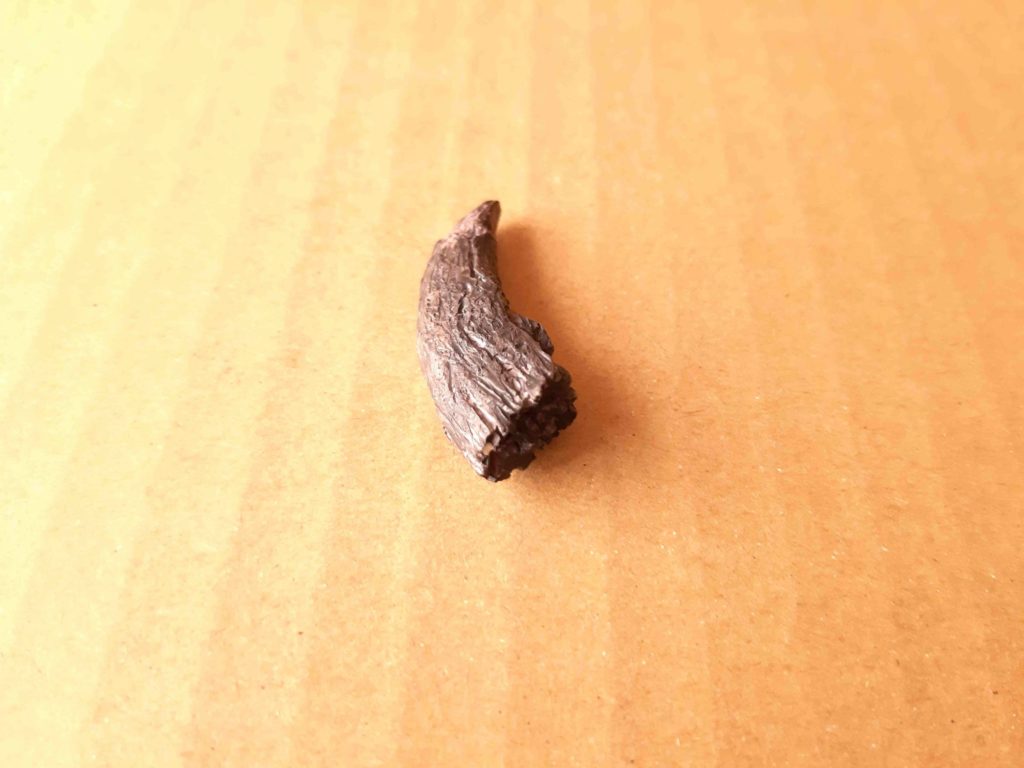 恐竜展で買ったカプセルトイ